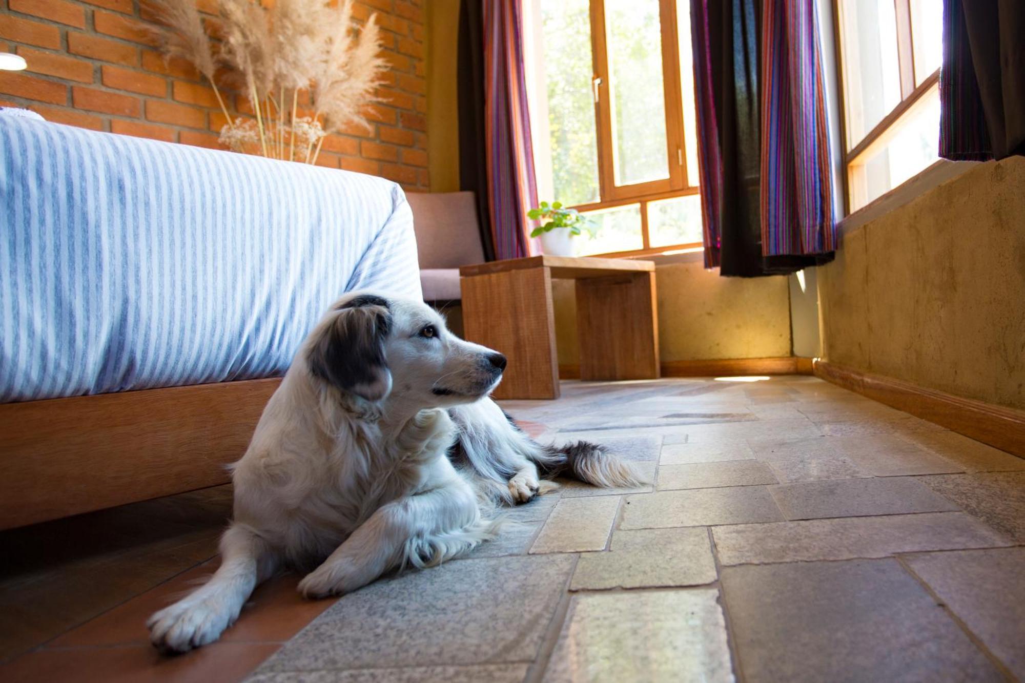 Fleur Lodge Каруас Экстерьер фото